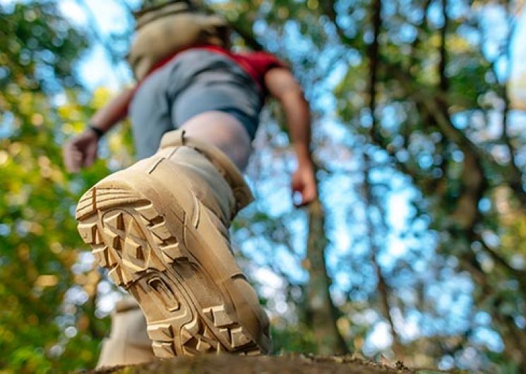 Randonnée Pédestre « Cantignergues »_Montblanc