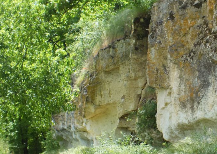 Animation Natura 2000 biodiversité des zones humides_Gasques