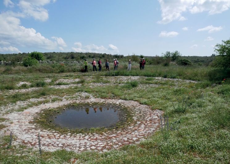 A la découverte de l'agropastoralisme méditerranéen et de ses paysages_Campestre-et-Luc