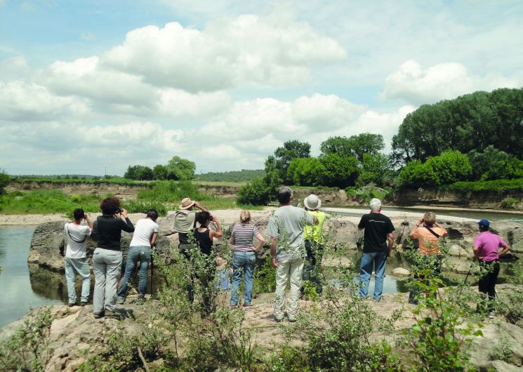 Balade - Réveil des oiseaux de la Réserve