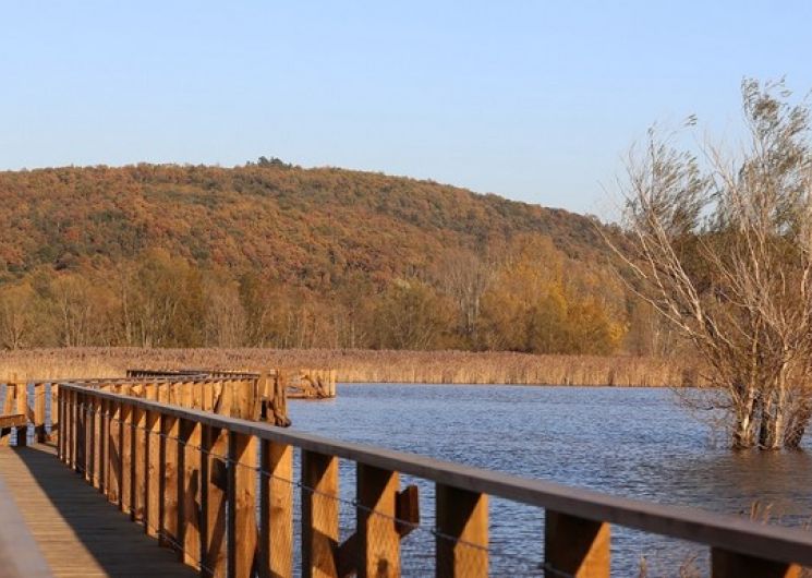 Balade -Voyage sonore Etang de La Capelle