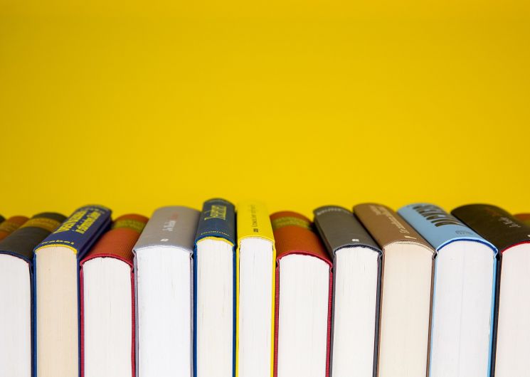 Foire aux livres_Auch