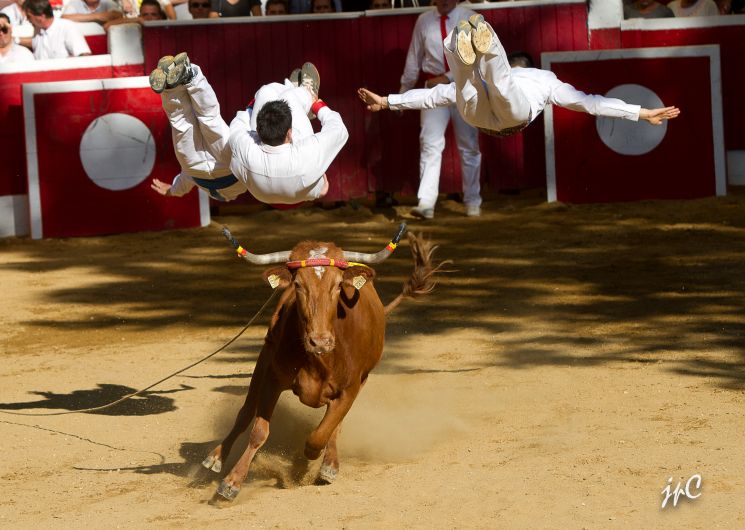 course landaise