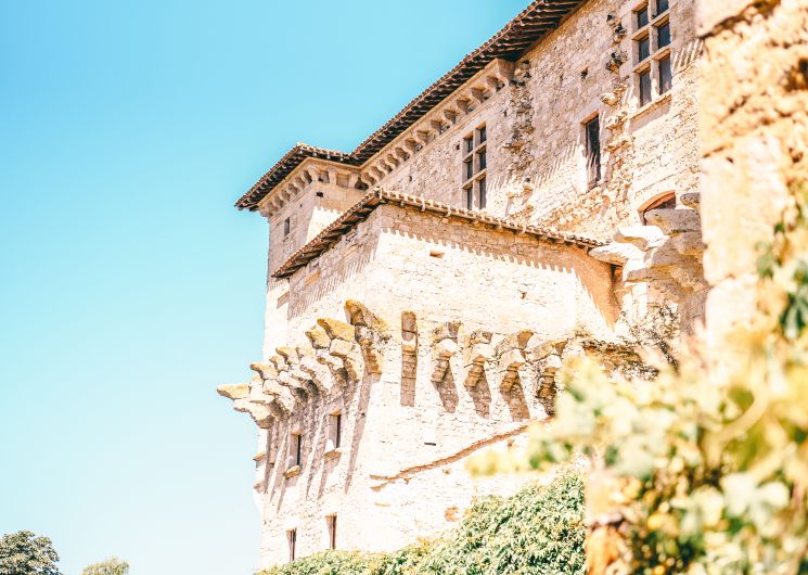 Chateau de Lavardens