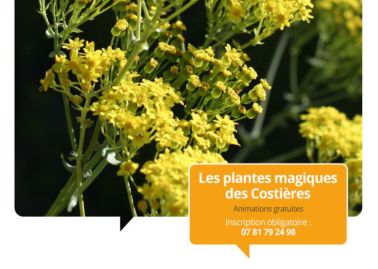 Terroirs vagabonds - Garons et Générac