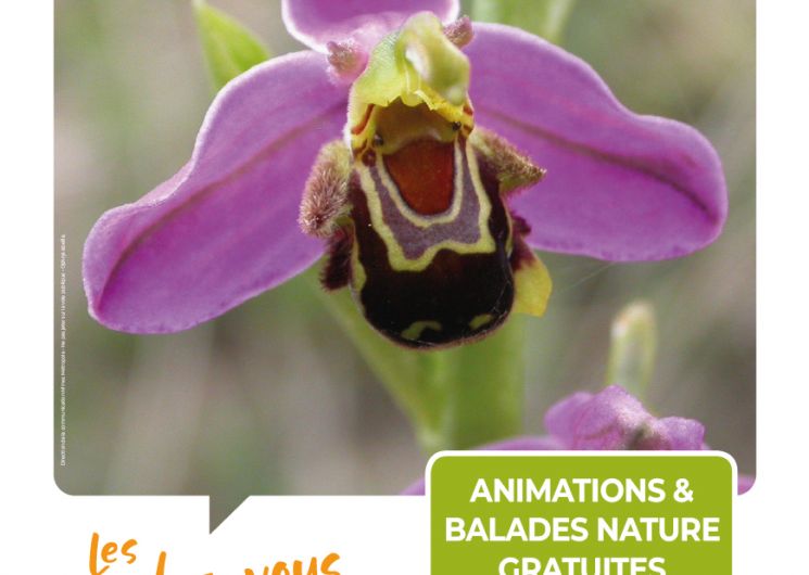 Rendez-vous Nature - Animations et balades Nature gratuites