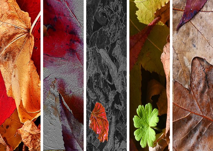Exposition - 