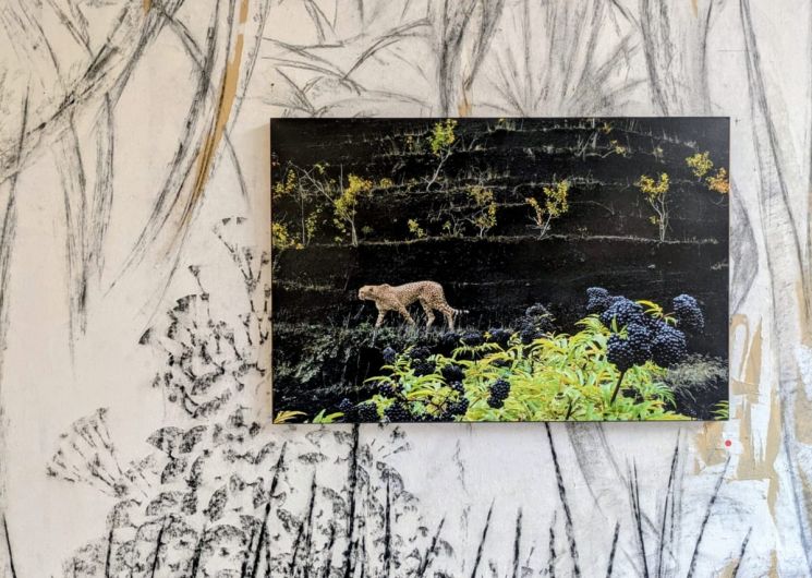 Exposition : Isabelle Souriment_Auch