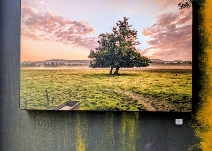 Exposition : Isabelle Souriment_Auch