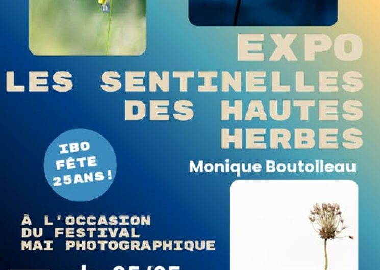 Exposition « Sentinelles des hautes herbes »_Lombez