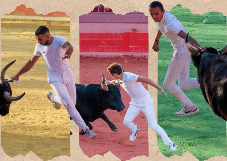 Courses Camarguaises à Jonquières-Saint-Vincent_Jonquières-Saint-Vincent