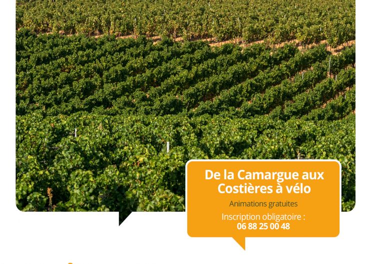 Terroirs vagabonds - Saint-Gilles