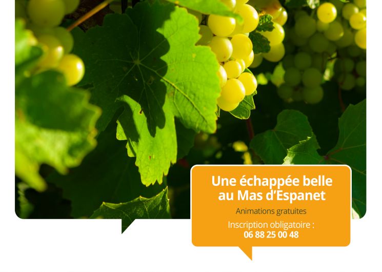 Terroirs vagabonds - Saint-Mamert-du-Gard