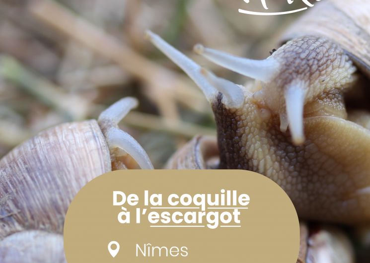 Rendez-vous Nature - Animations et balades gratuites à Nîmes