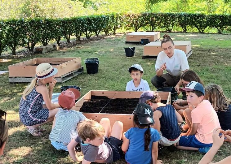festival Arts de la terre