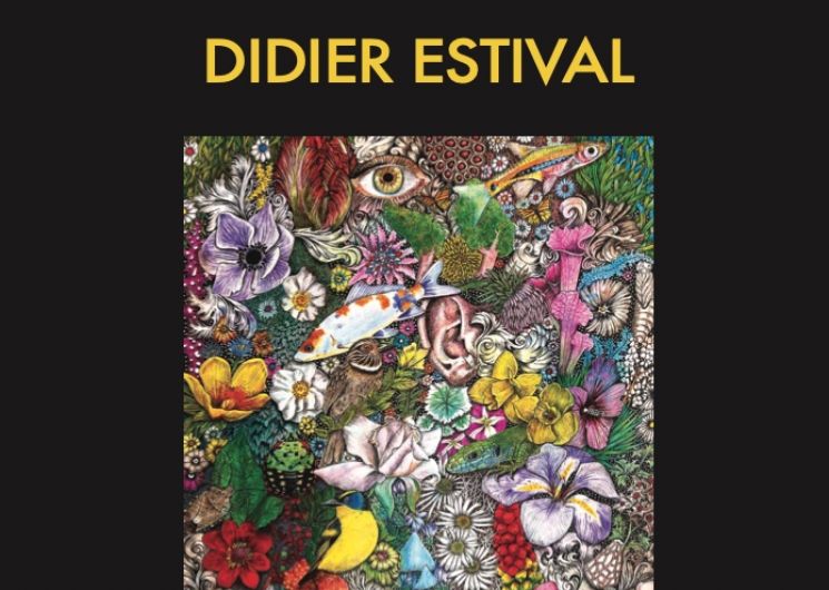 Exposition - Didier Estival_Montauban
