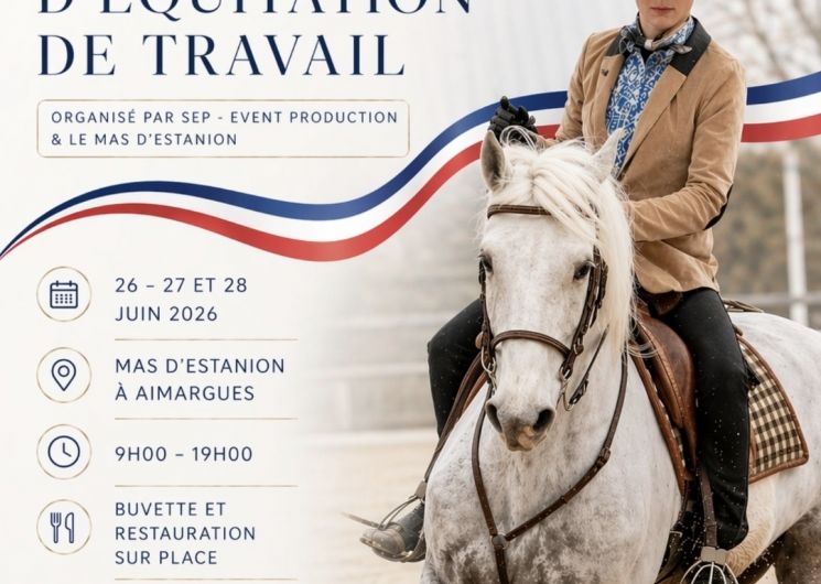 Championnat de France d'équitation de travail_Aimargues