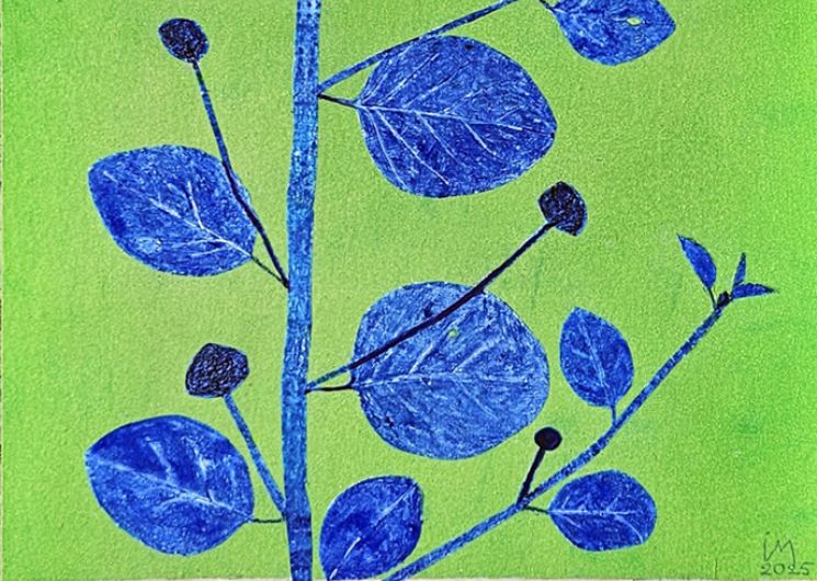 Exposition - Le Langage des Plantes