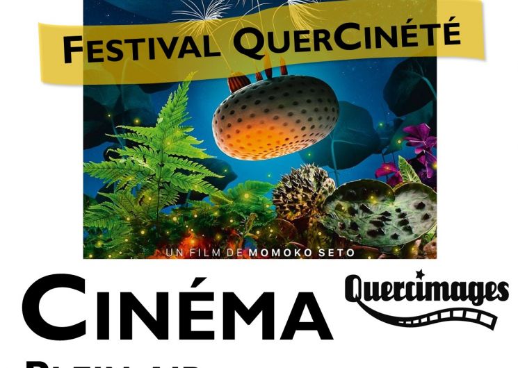Festival Quercinété : 