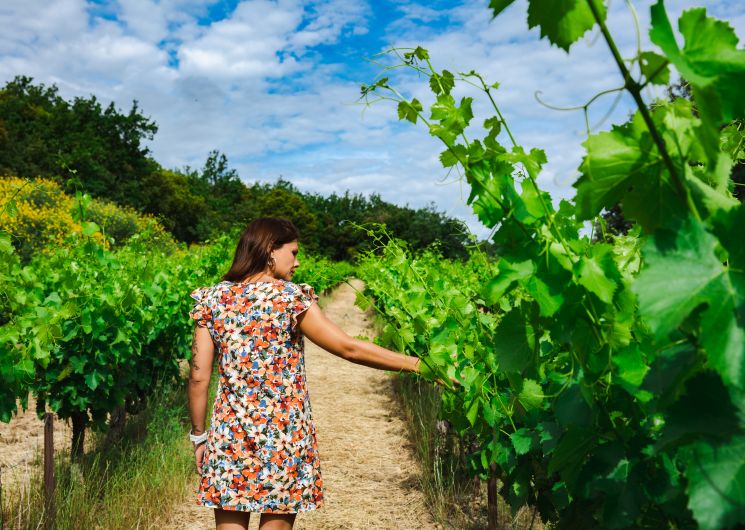 Rallye des 3 crus - Vignobles en Scène_Tavel