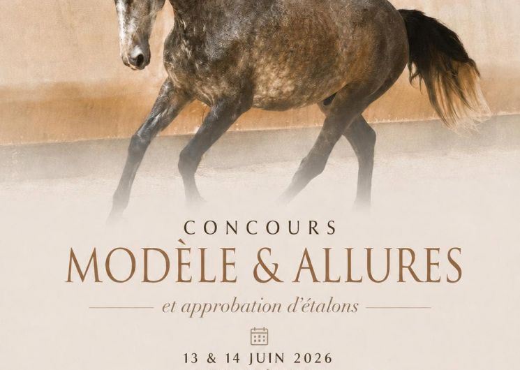Concours au Haras - modèle et allures