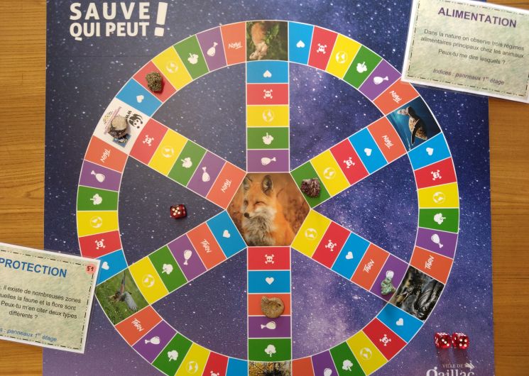 Sauve qui peut