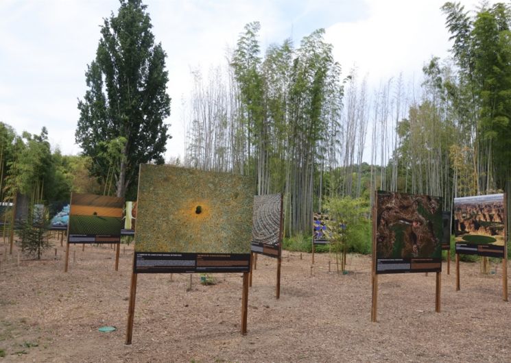Jep 2026 : Exposition