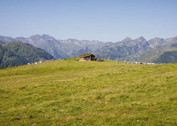 Balade à Beille_Ax-les-Thermes