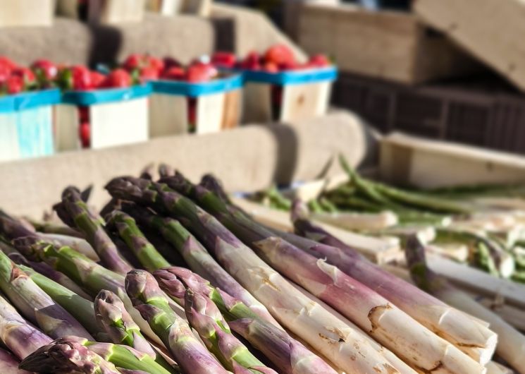 Marché de producteurs locaux_Rochefort-du-Gard
