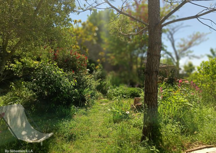 Atelier Balade, cueillette, cuisine florale et dégustation_Lautrec