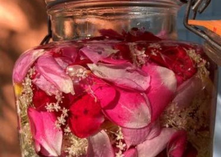 Atelier Balade, cueillette, cuisine florale et dégustation_Lautrec