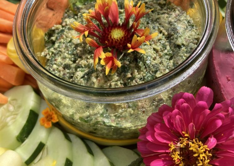 Atelier Balade, cueillette, cuisine florale et dégustation_Lautrec