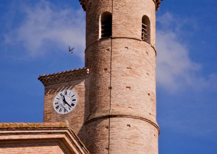Visite de la collégiale Saint-Martin_L'Isle-Jourdain