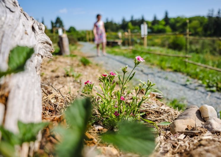 Jardin des Ecosystèmes