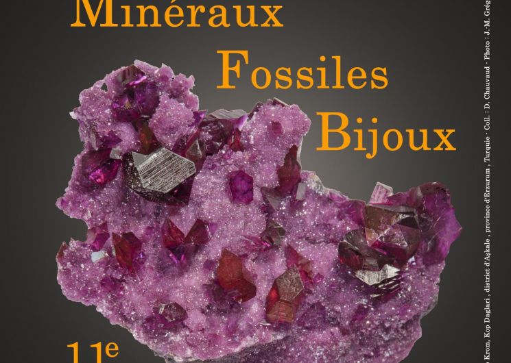 Affiche du 11e Salon Minéraux Fossiles Bijoux d'Albi