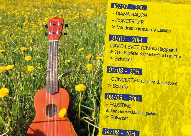 2e édition Festival Côté Jardin ou Côté Cour - Concert David Levet_Belvézet
