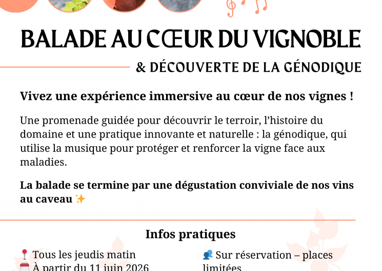 Balade guidée au cœur du vignoble - Domaine du Petit Chaumont_Aigues-Mortes
