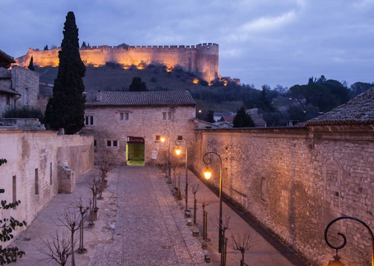 Sortie nocturne : 30ème Nuit Internationale de la chauve-souris_Villeneuve-lez-Avignon