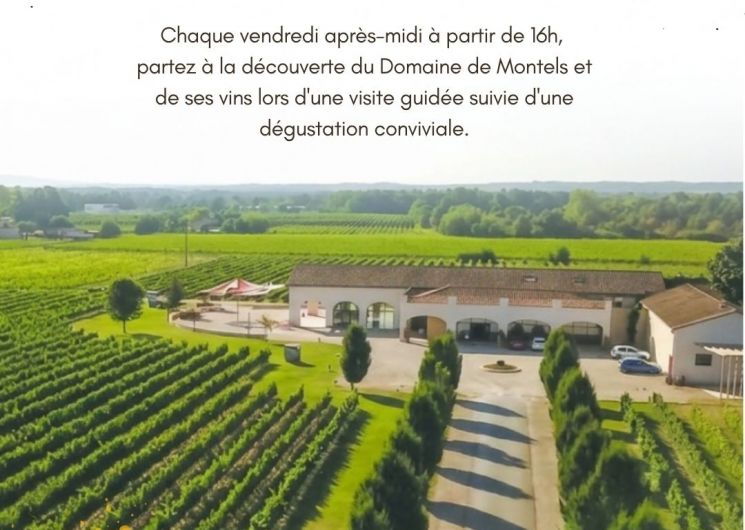 visite du domaine