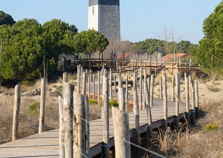Le phare éclaire la mer, Delphine Bonnet en révèle les mystères_Le Grau-du-Roi