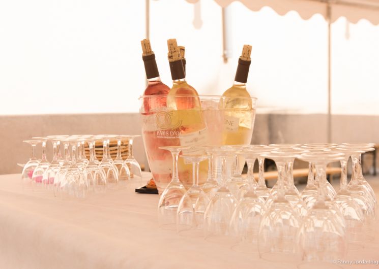Balade commentée dans le vignoble et dégustation de vins_Bourdic