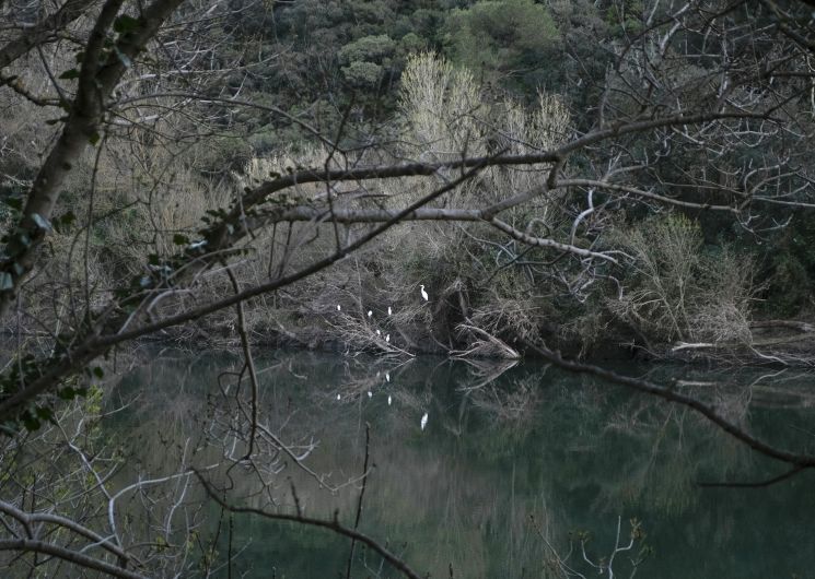 Exposition photographique - Dans la gorge du dragon_Vers-Pont-du-Gard