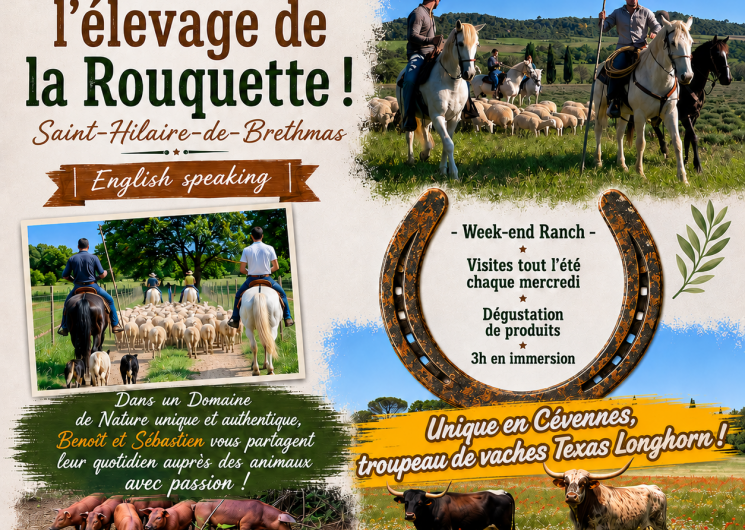 Visitez l'élevage de la Rouquette !