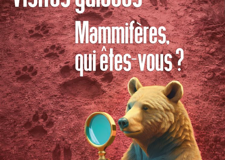 Visites guidées : Mammifères qui êtes-vous ?
