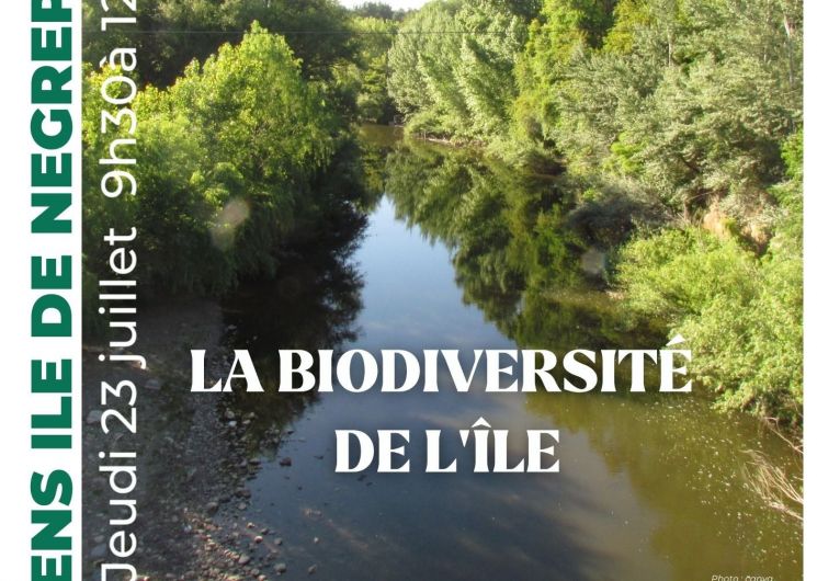 Sortie nature