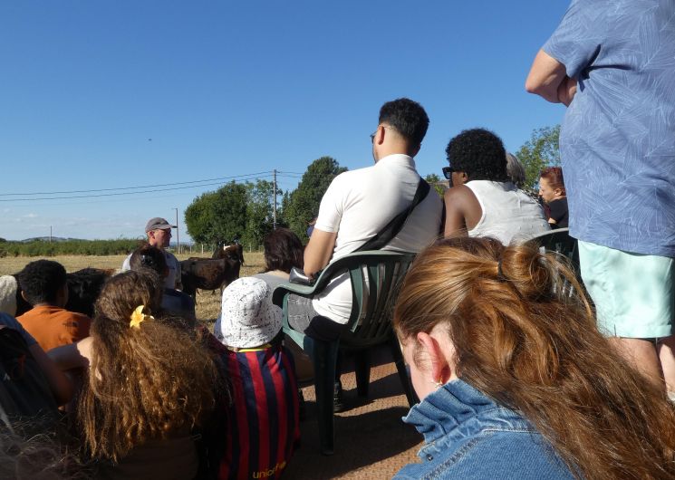 Visite à la ferme de Peyrouse_Padiès