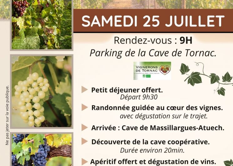 Randonnée - De la Vigne au Verre_Tornac