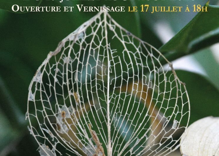 Affiche exposition 