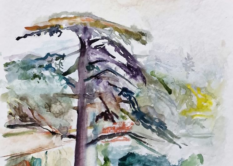 Exposition «Paysages de Michel Steiner»_Villeneuve-lez-Avignon