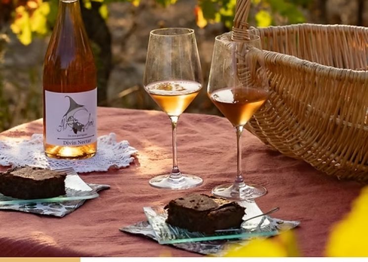 Apéritif Dans Les Vignes - Alchimie De Nos Garrigues_Aumes